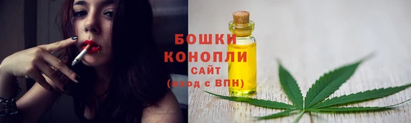 ПСИЛОЦИБИНОВЫЕ ГРИБЫ Липки