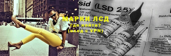ПСИЛОЦИБИНОВЫЕ ГРИБЫ Липки