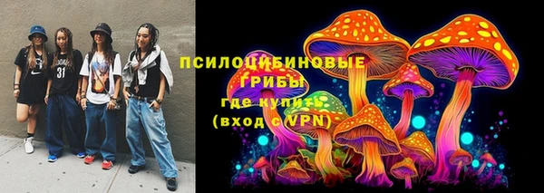 сатива Магадан