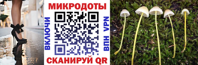 Псилоцибиновые грибы Cubensis  Починок 
